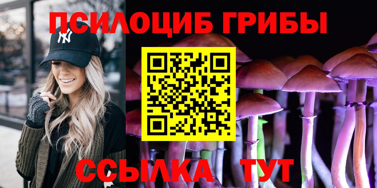 Псилоцибиновые грибы Psilocybe Котлас