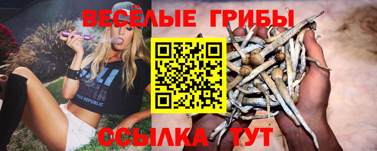 Галлюциногенные грибы ЛСД  Вход с VPN  Котлас  Псилоцибиновые грибы Cubensis 