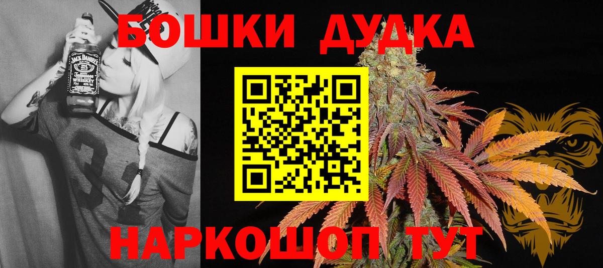 Бошки Шишки ГИДРОПОН  Канабис планчик  Котлас  Каннабис MAZAR  Вход с VPN 